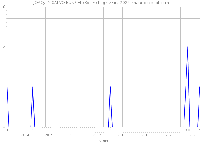 JOAQUIN SALVO BURRIEL (Spain) Page visits 2024 