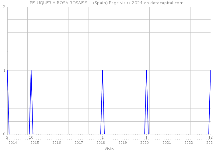 PELUQUERIA ROSA ROSAE S.L. (Spain) Page visits 2024 