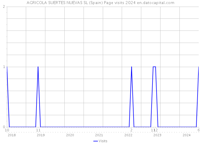 AGRICOLA SUERTES NUEVAS SL (Spain) Page visits 2024 