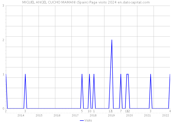 MIGUEL ANGEL CUCHO MAMANI (Spain) Page visits 2024 