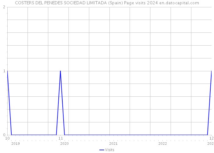 COSTERS DEL PENEDES SOCIEDAD LIMITADA (Spain) Page visits 2024 
