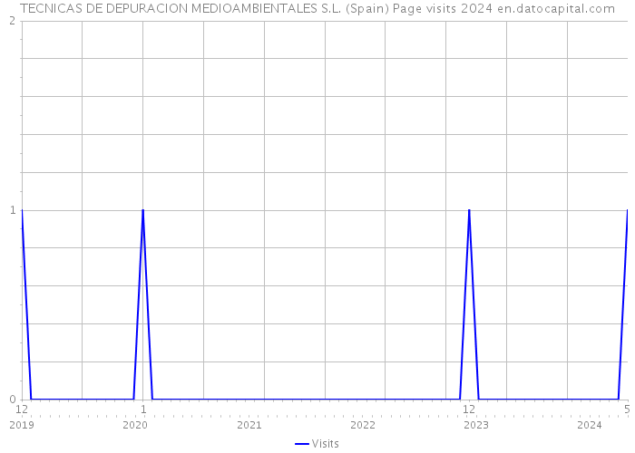 TECNICAS DE DEPURACION MEDIOAMBIENTALES S.L. (Spain) Page visits 2024 