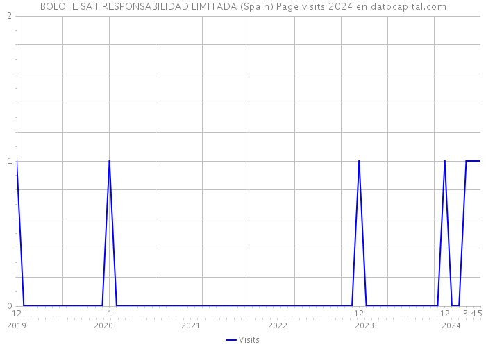 BOLOTE SAT RESPONSABILIDAD LIMITADA (Spain) Page visits 2024 