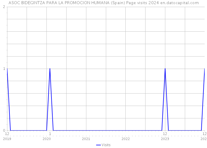 ASOC BIDEGINTZA PARA LA PROMOCION HUMANA (Spain) Page visits 2024 