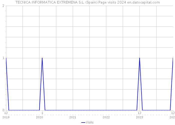 TECNICA INFORMATICA EXTREMENA S.L. (Spain) Page visits 2024 