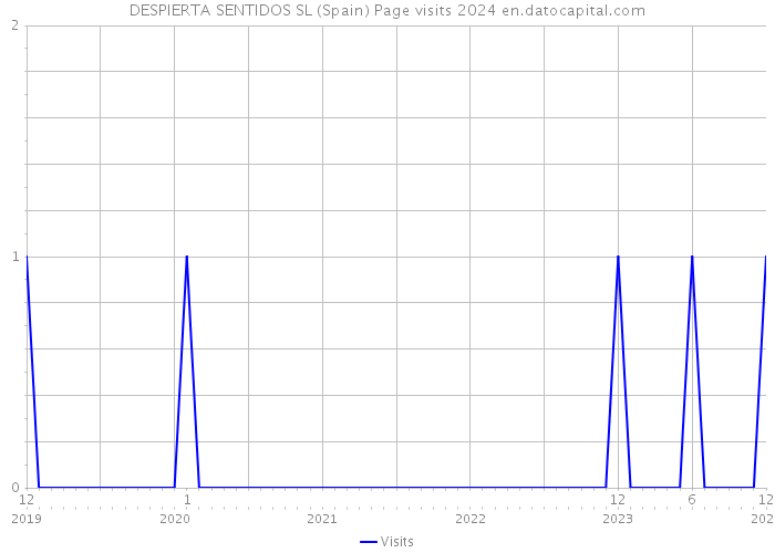DESPIERTA SENTIDOS SL (Spain) Page visits 2024 