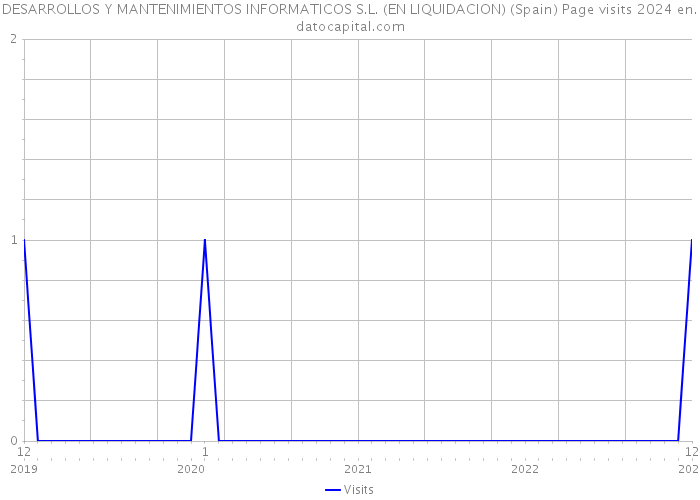 DESARROLLOS Y MANTENIMIENTOS INFORMATICOS S.L. (EN LIQUIDACION) (Spain) Page visits 2024 