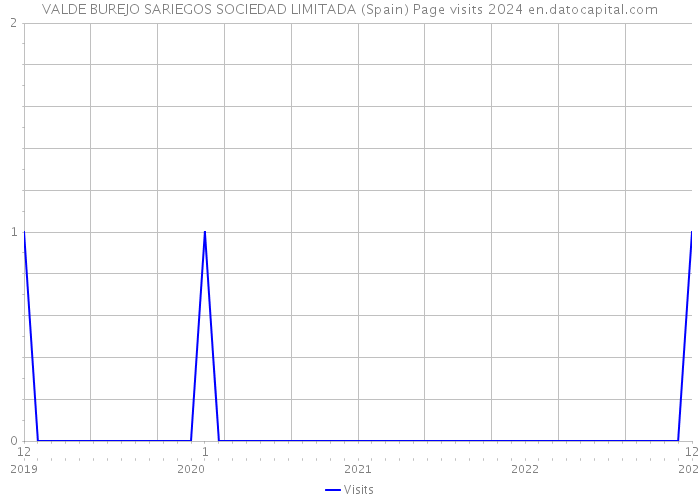 VALDE BUREJO SARIEGOS SOCIEDAD LIMITADA (Spain) Page visits 2024 