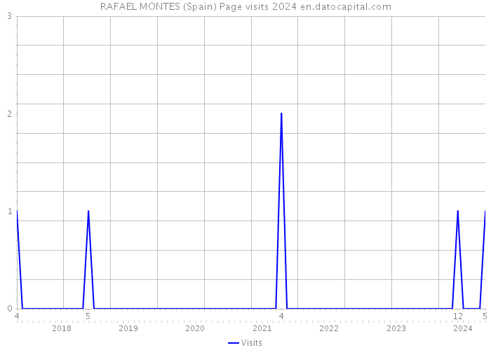 RAFAEL MONTES (Spain) Page visits 2024 