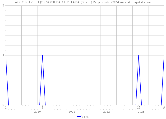 AGRO RUIZ E HIJOS SOCIEDAD LIMITADA (Spain) Page visits 2024 