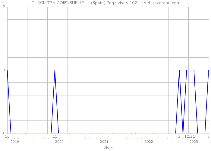 ITURGINTZA GOIENBURU SLL. (Spain) Page visits 2024 