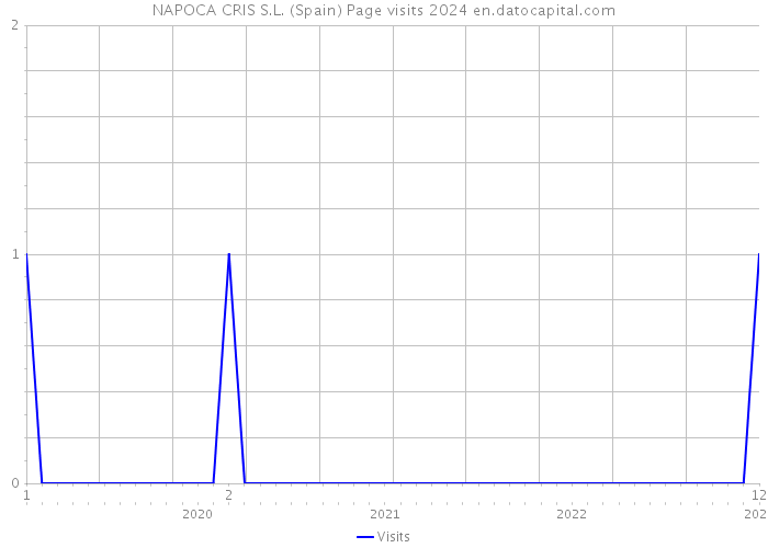 NAPOCA CRIS S.L. (Spain) Page visits 2024 