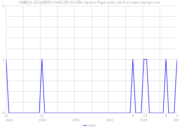 REBECA EZQUERRO SAEZ DE VICUÑA (Spain) Page visits 2024 