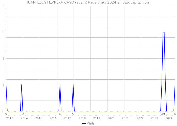 JUAN JESUS HERRERA CASO (Spain) Page visits 2024 