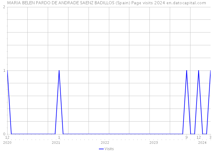 MARIA BELEN PARDO DE ANDRADE SAENZ BADILLOS (Spain) Page visits 2024 