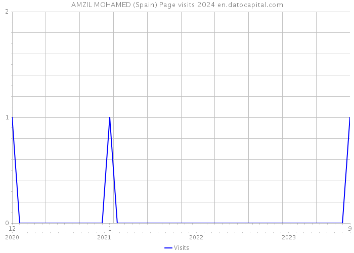 AMZIL MOHAMED (Spain) Page visits 2024 