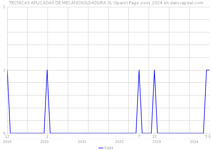 TECNICAS APLICADAS DE MECANOSOLDADURA SL (Spain) Page visits 2024 