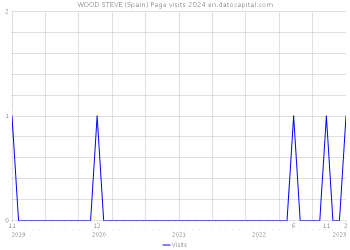 WOOD STEVE (Spain) Page visits 2024 