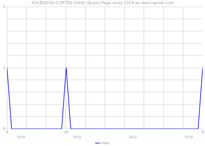 ASCENSION CORTES CANO (Spain) Page visits 2024 