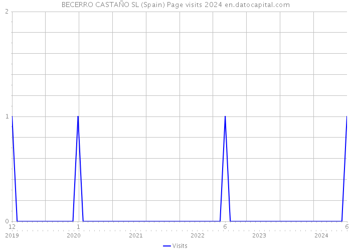 BECERRO CASTAÑO SL (Spain) Page visits 2024 