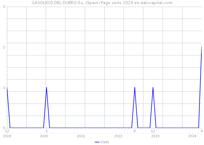 GASOLEOS DEL DUERO.S.L. (Spain) Page visits 2024 