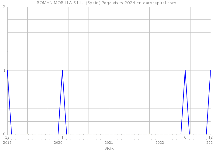 ROMAN MORILLA S.L.U. (Spain) Page visits 2024 