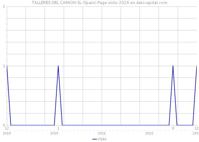 TALLERES DEL CAMION SL (Spain) Page visits 2024 