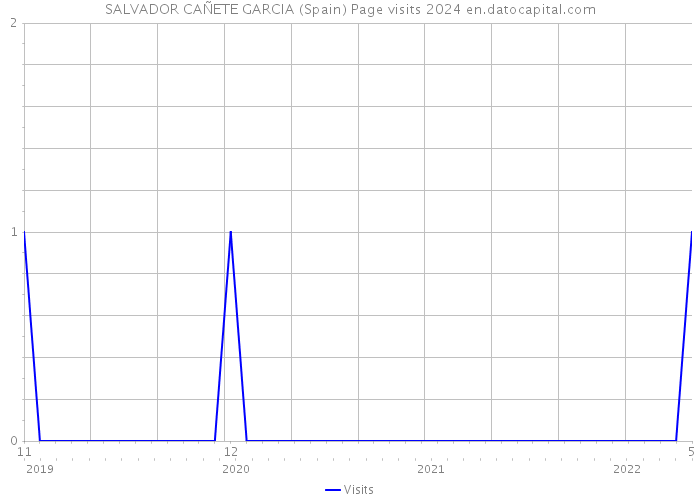 SALVADOR CAÑETE GARCIA (Spain) Page visits 2024 