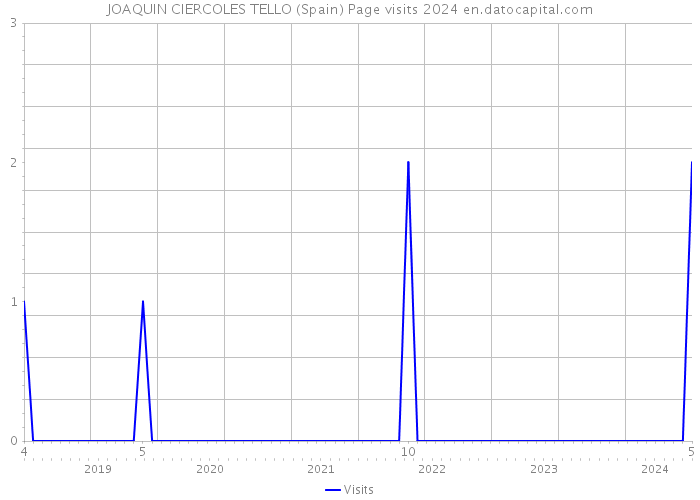JOAQUIN CIERCOLES TELLO (Spain) Page visits 2024 