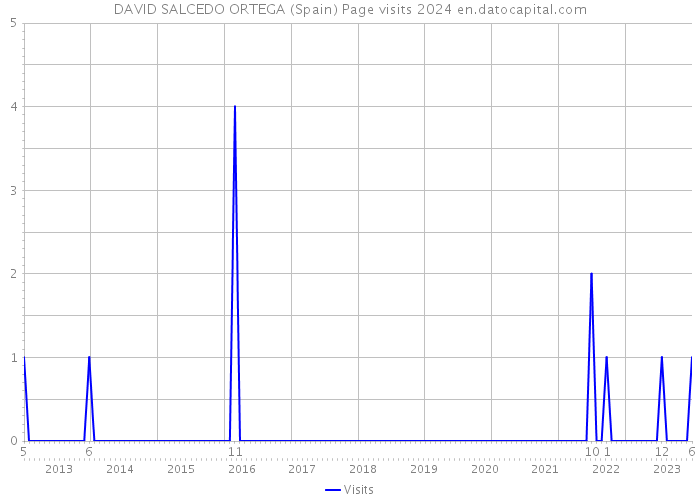 DAVID SALCEDO ORTEGA (Spain) Page visits 2024 