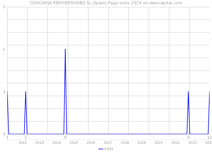 GONGARJA REINVERSIONES SL (Spain) Page visits 2024 