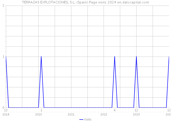 TERRAZAS EXPLOTACIONES, S.L. (Spain) Page visits 2024 