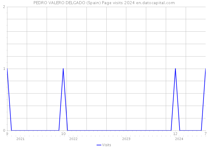PEDRO VALERO DELGADO (Spain) Page visits 2024 