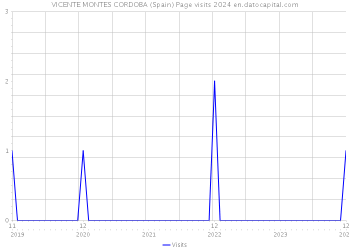VICENTE MONTES CORDOBA (Spain) Page visits 2024 