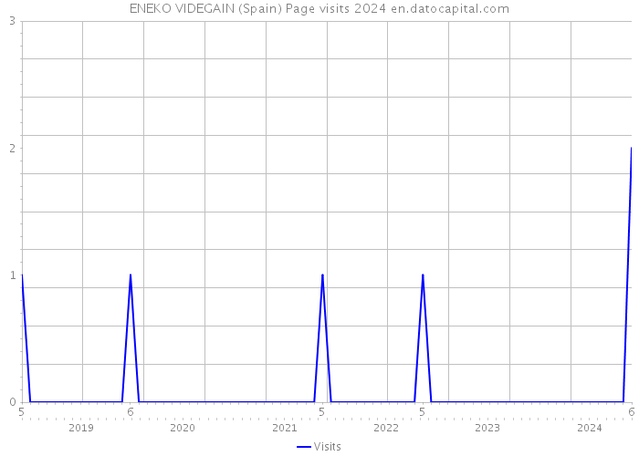 ENEKO VIDEGAIN (Spain) Page visits 2024 