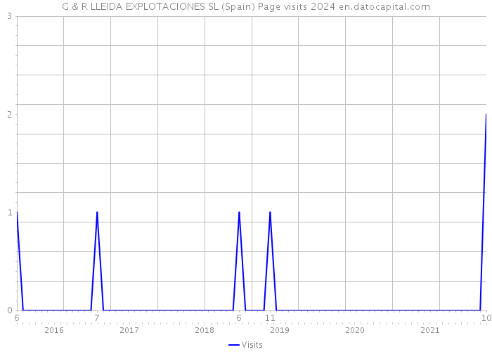 G & R LLEIDA EXPLOTACIONES SL (Spain) Page visits 2024 
