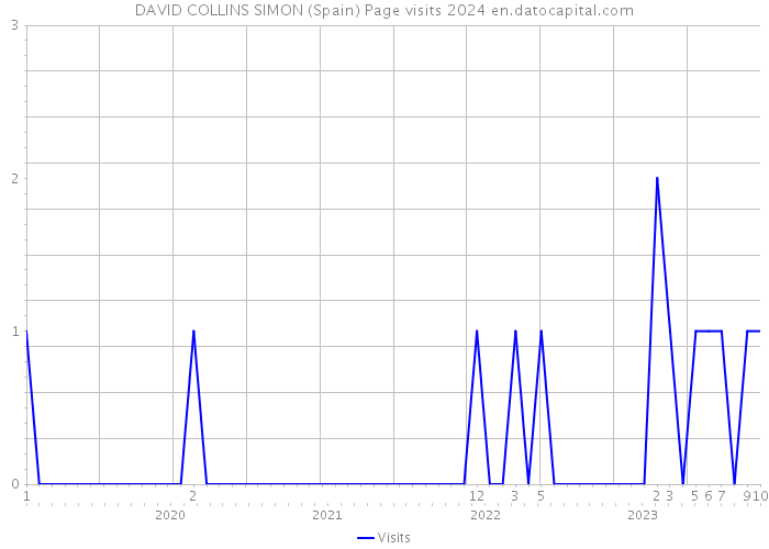 DAVID COLLINS SIMON (Spain) Page visits 2024 