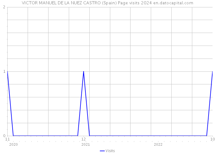 VICTOR MANUEL DE LA NUEZ CASTRO (Spain) Page visits 2024 