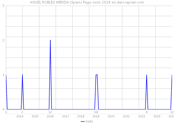 ANGEL ROBLES MERIDA (Spain) Page visits 2024 