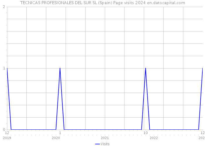 TECNICAS PROFESIONALES DEL SUR SL (Spain) Page visits 2024 