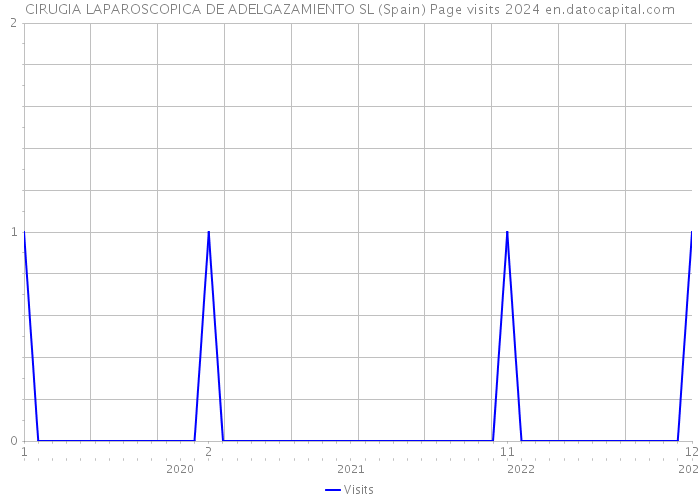 CIRUGIA LAPAROSCOPICA DE ADELGAZAMIENTO SL (Spain) Page visits 2024 