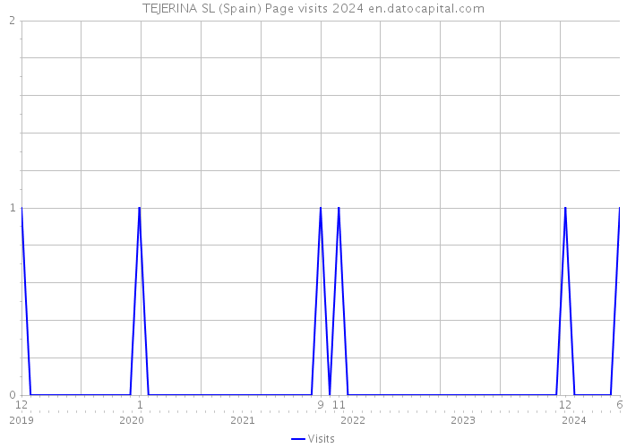 TEJERINA SL (Spain) Page visits 2024 