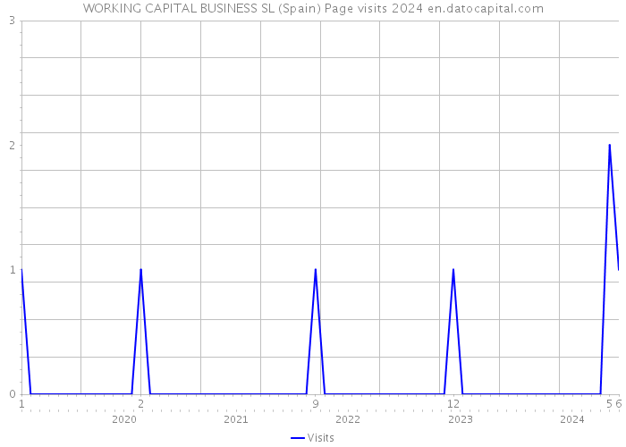 WORKING CAPITAL BUSINESS SL (Spain) Page visits 2024 