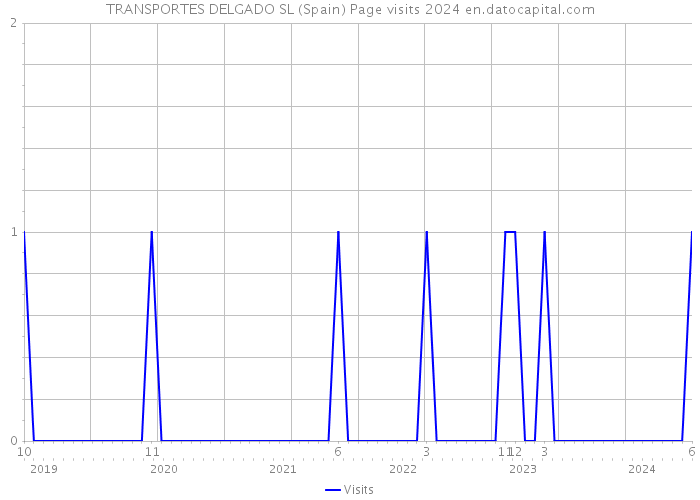 TRANSPORTES DELGADO SL (Spain) Page visits 2024 