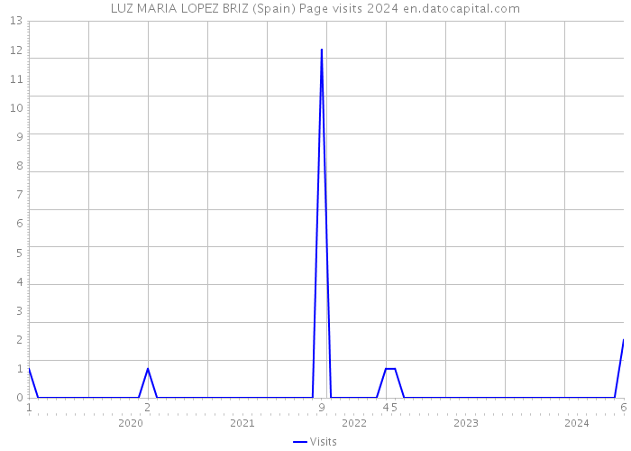 LUZ MARIA LOPEZ BRIZ (Spain) Page visits 2024 