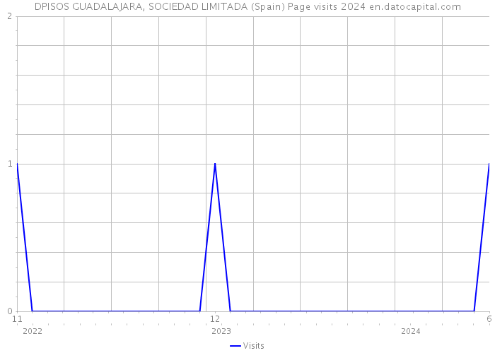 DPISOS GUADALAJARA, SOCIEDAD LIMITADA (Spain) Page visits 2024 