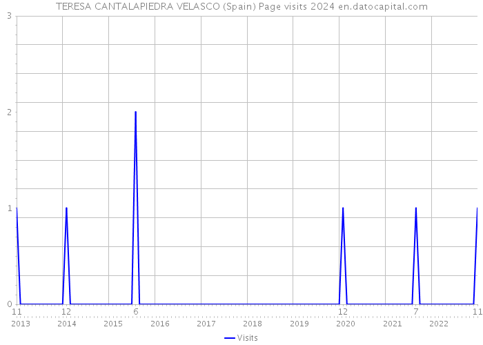 TERESA CANTALAPIEDRA VELASCO (Spain) Page visits 2024 