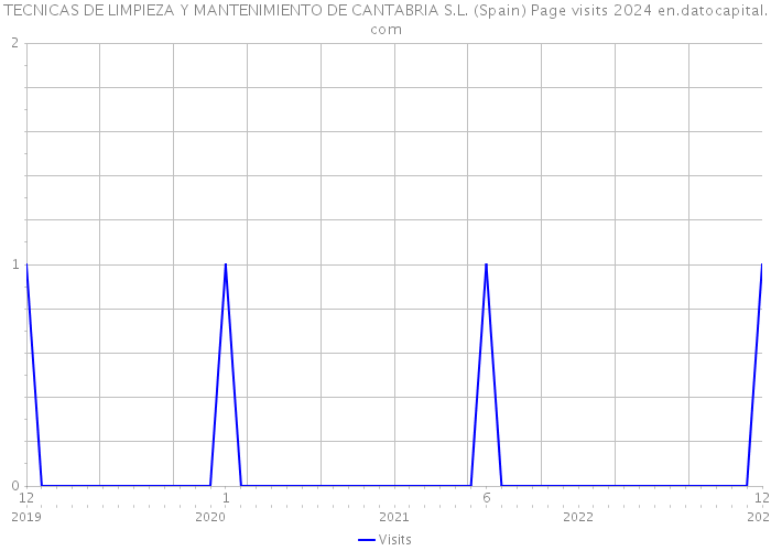 TECNICAS DE LIMPIEZA Y MANTENIMIENTO DE CANTABRIA S.L. (Spain) Page visits 2024 