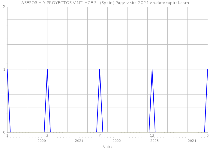 ASESORIA Y PROYECTOS VINTLAGE SL (Spain) Page visits 2024 