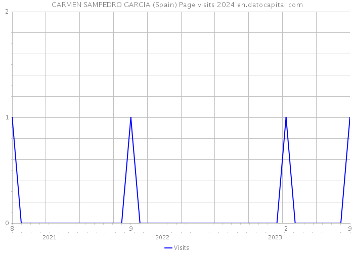CARMEN SAMPEDRO GARCIA (Spain) Page visits 2024 